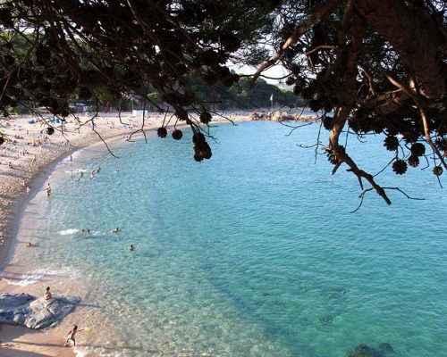 Vue sur la plage