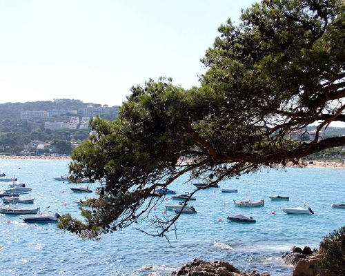 Vue sur la plage